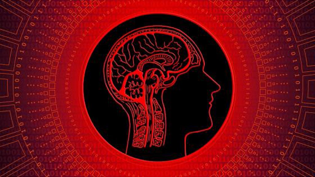 图片：Guerbet已签署了与IBM Watson Health合作的独家协议，并开发了人工智能（AI）软件解决方案，该解决方案有助于检测，诊断和治疗肝癌（放射学业务提供照片）。